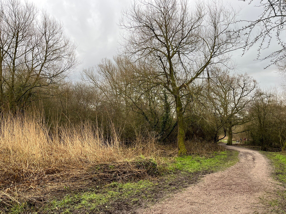 Caldy Nature Park-切斯特必去景点