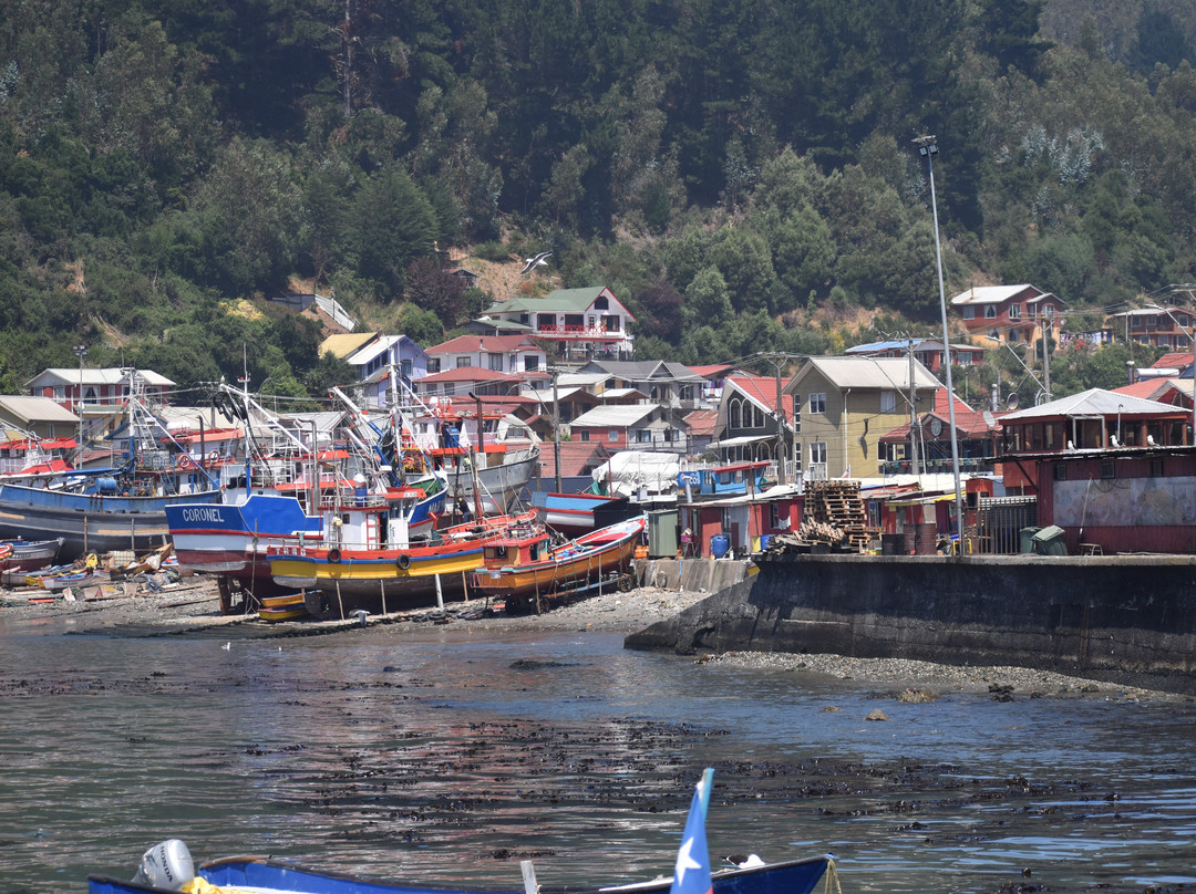 Caleta Tumbes-Talcahuano必去景点