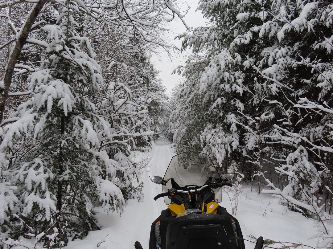 Farmhouse Snowmobiling and UTVs-普莱西德湖必去景点