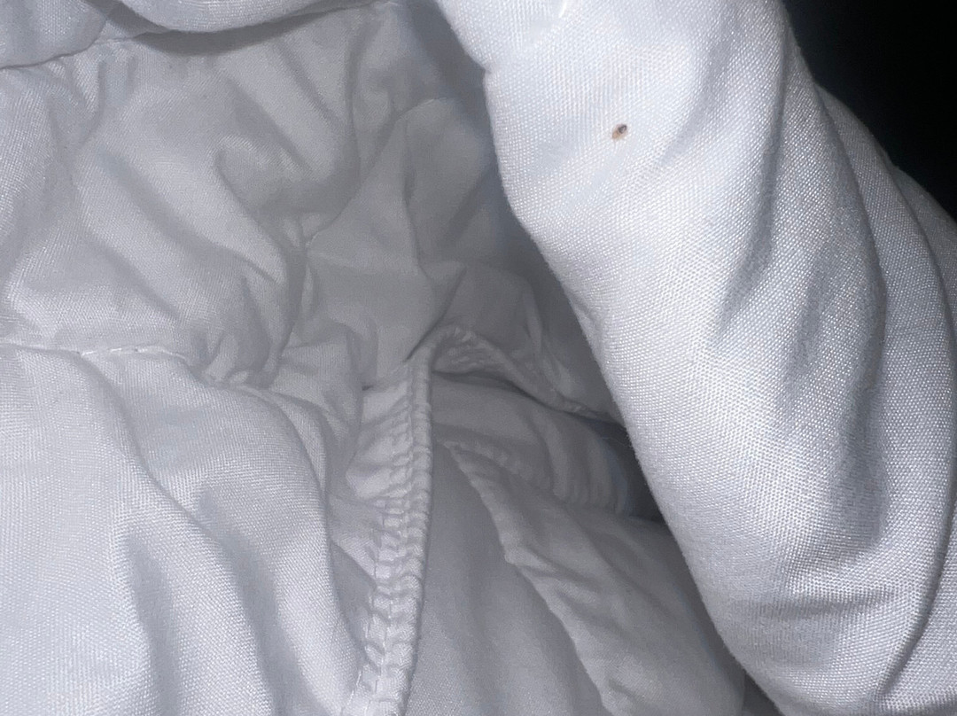 Homewood Suites By Hilton Waco主图