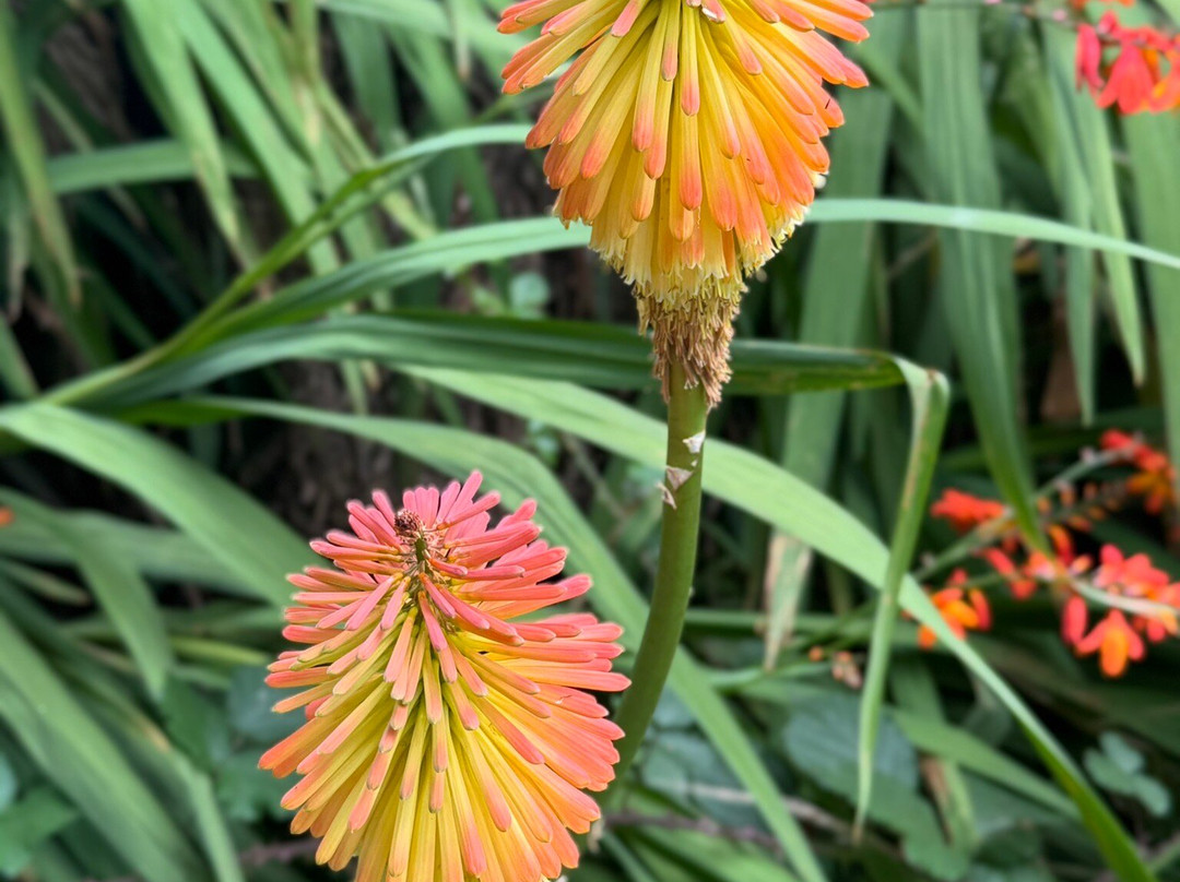 Platypus Walk-Geeveston必去景点