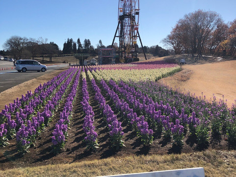 Country Farm Tokyo German Village-袖浦市必去景点