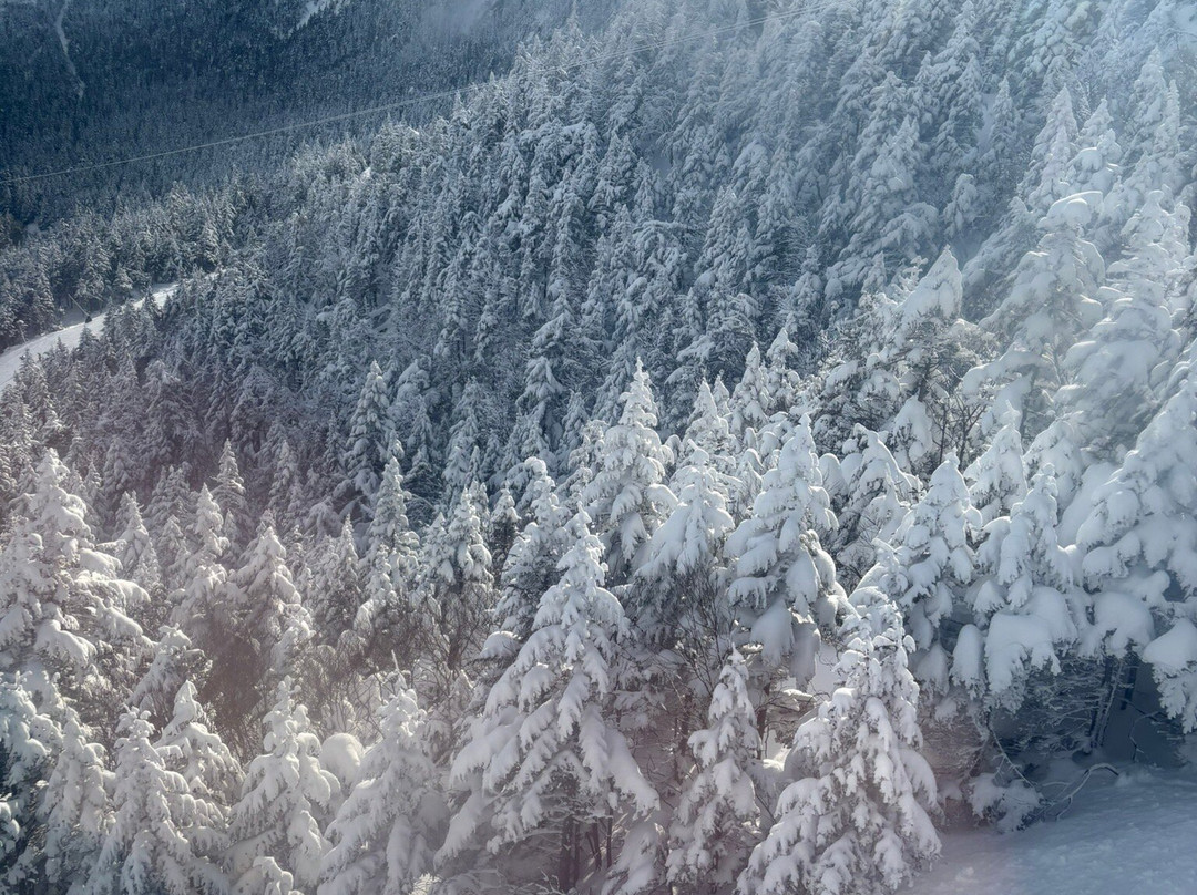 Stowe Mountain Resort-斯托必去景点