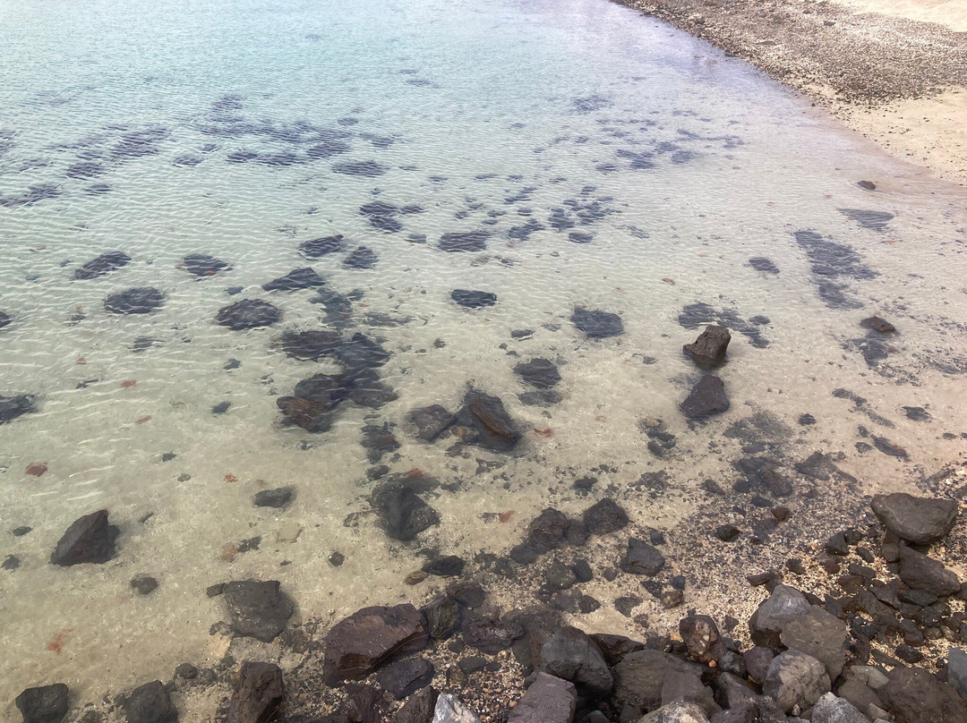 Caletta De Fuste Beach景点图片