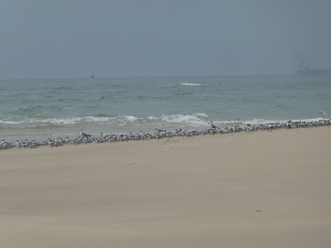 Macaneta Beach-马布多必去景点
