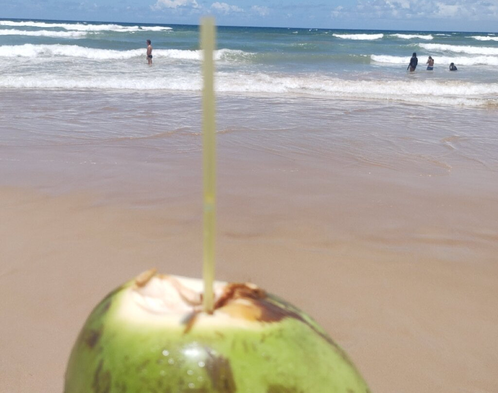 Praia do Flamengo-萨尔瓦多必去景点