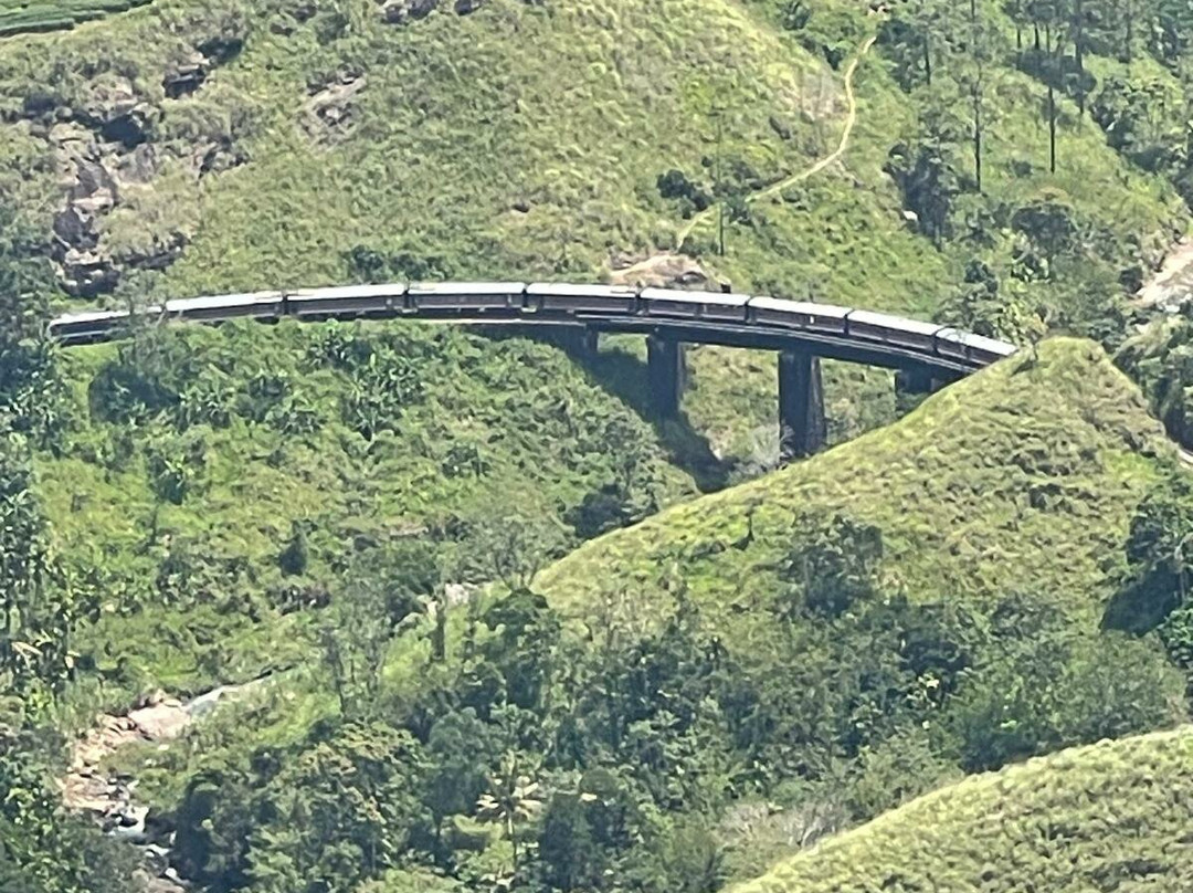 Windy Hill Viewpoint-埃勒必去景点