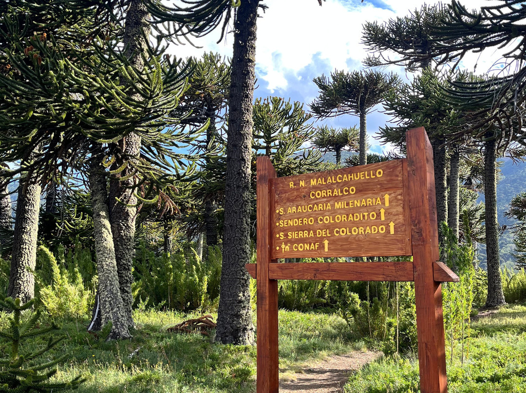 Valle Corralco Hotel & Spa主图