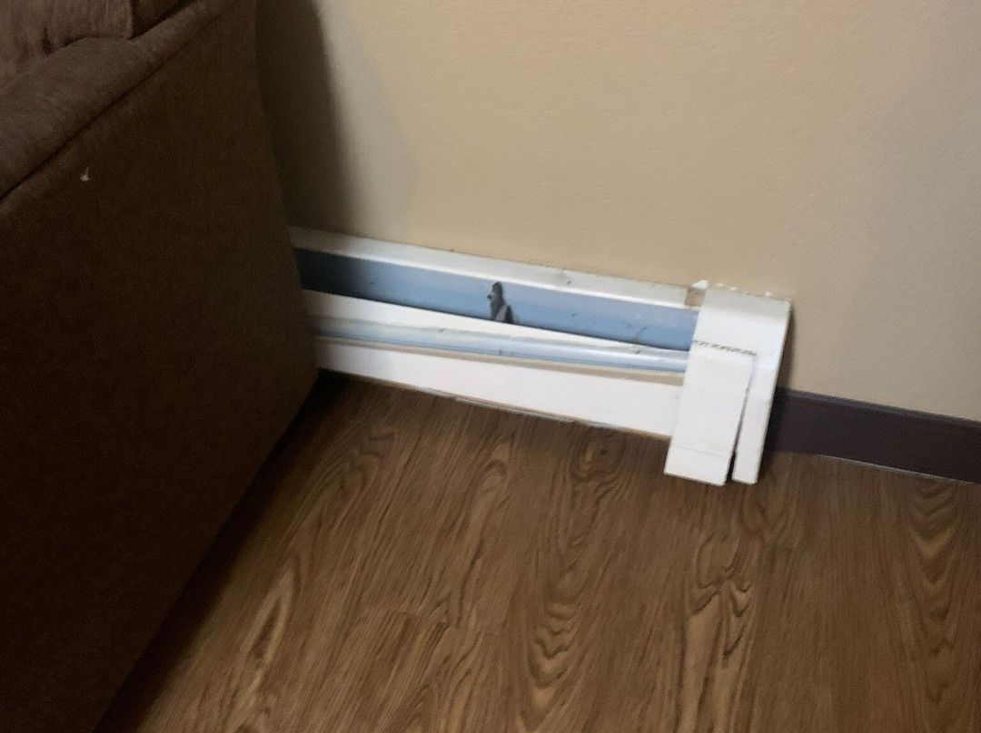 Best Western Bennington主图