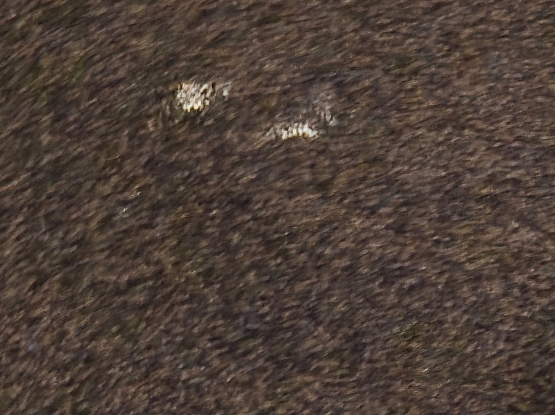 Pavilion Motel & Conference Centre主图