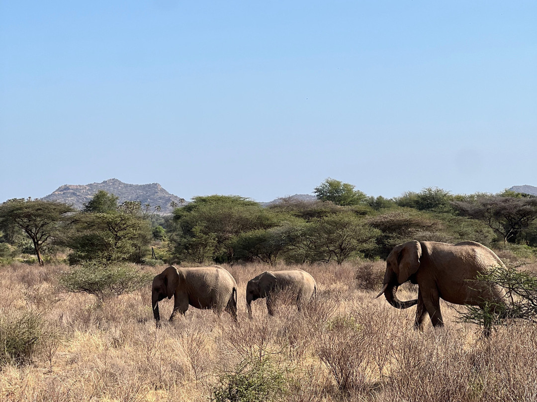 Southern Cross Safaris-温德和克必去景点