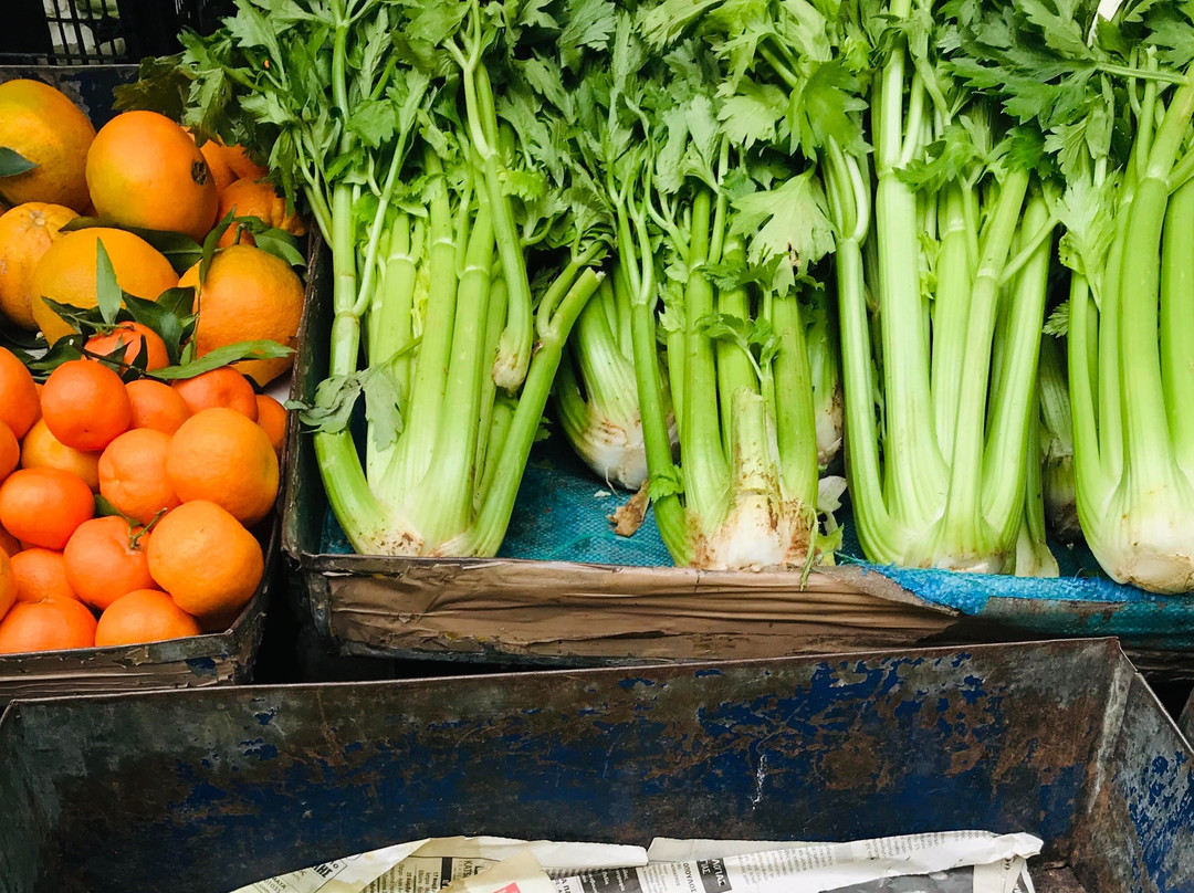 Hidden Athens Food Tours – A Taste of the Real Greece-雅典必去景点