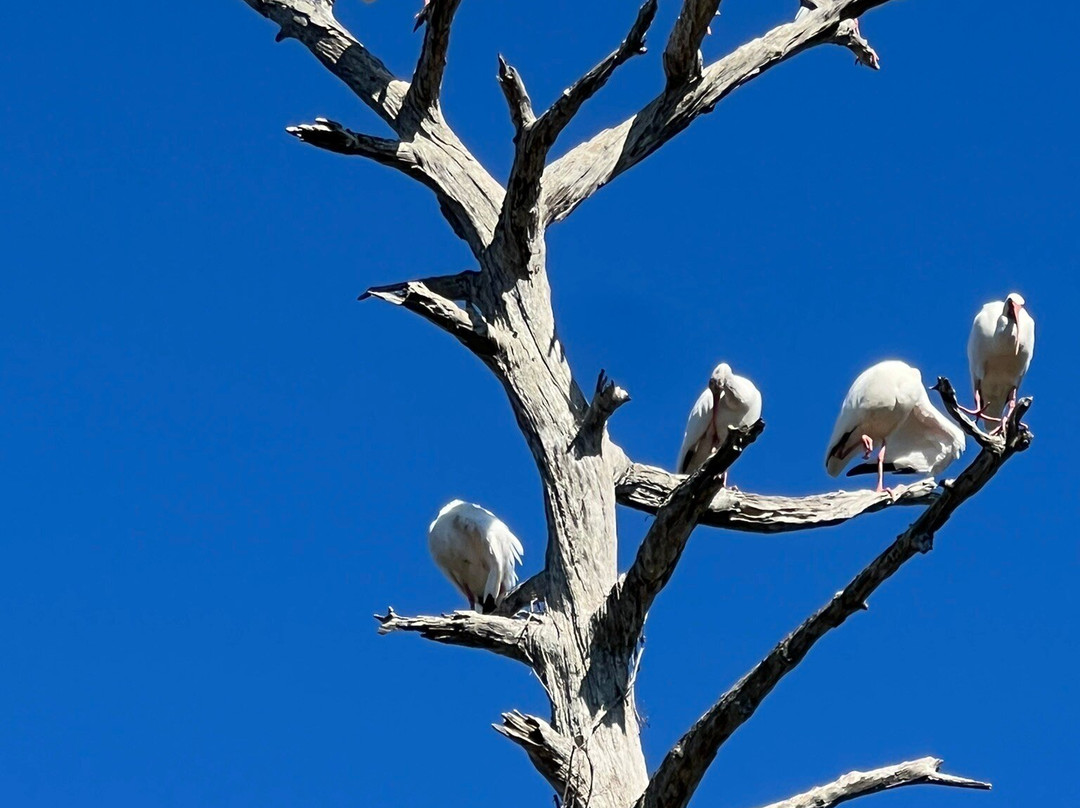 Perico Preserve-布雷登顿必去景点
