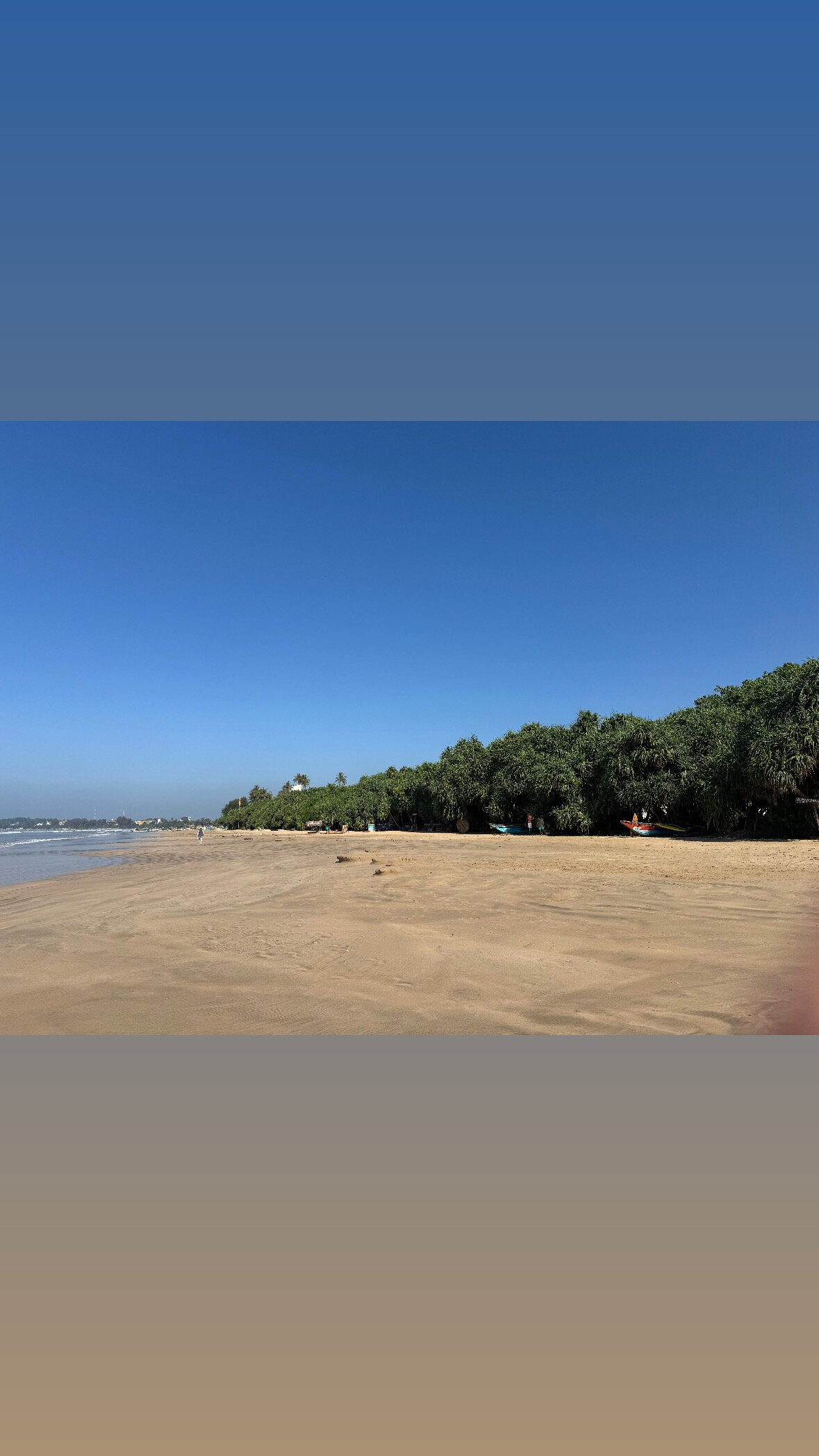 The Surfer Surf Camp Sri Lanka-官方
