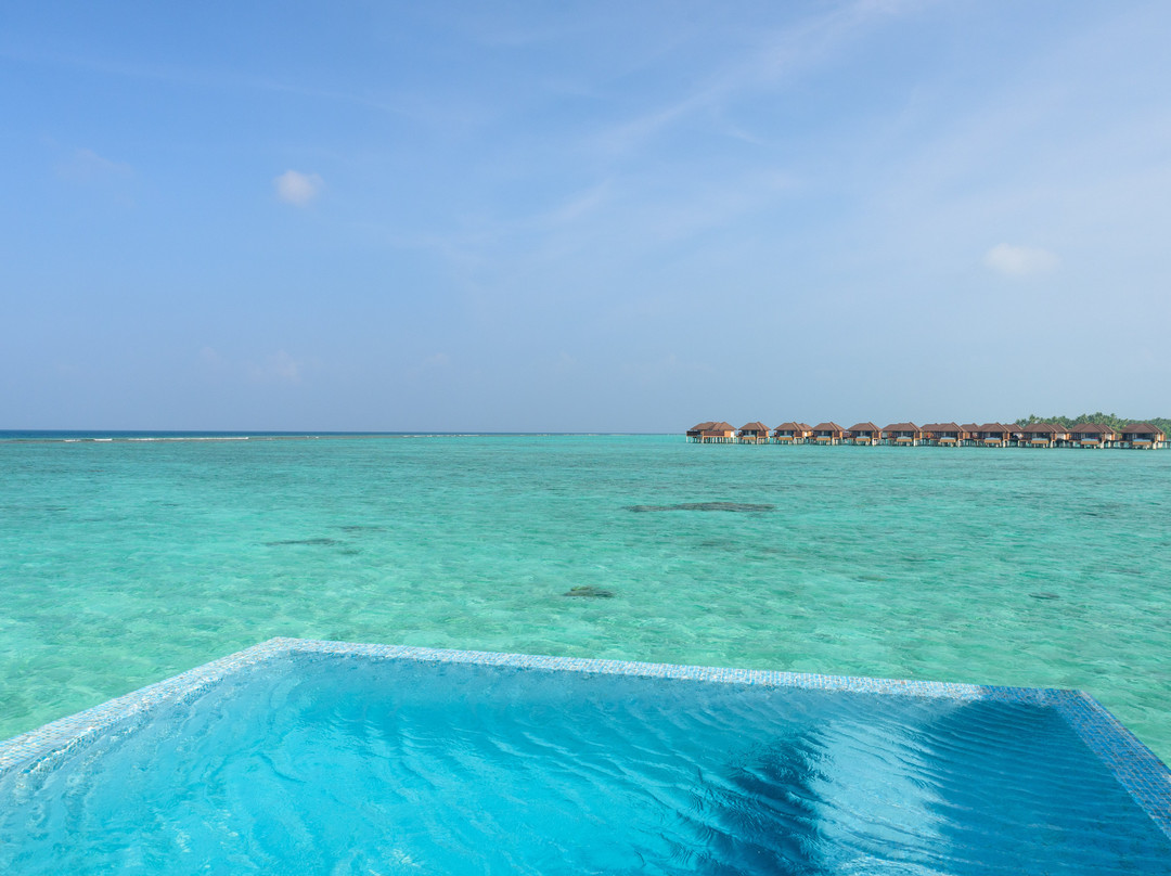 Varu By Atmosphere主图