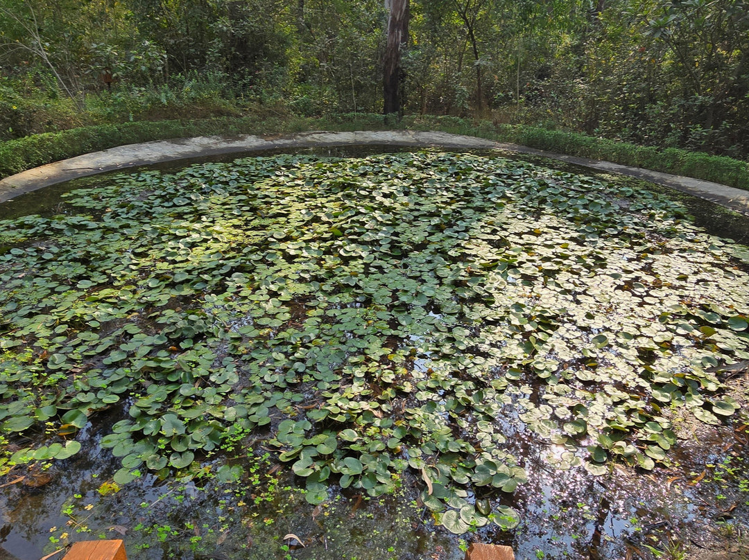 Butterfly Park-Khanvel必去景点