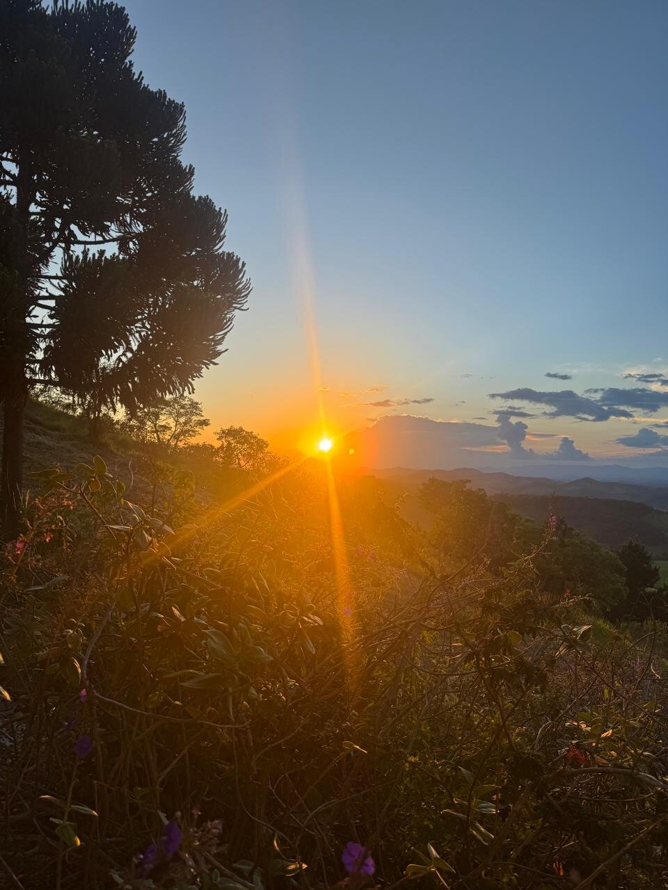 Pousada Quinta da Serra-酒店景观