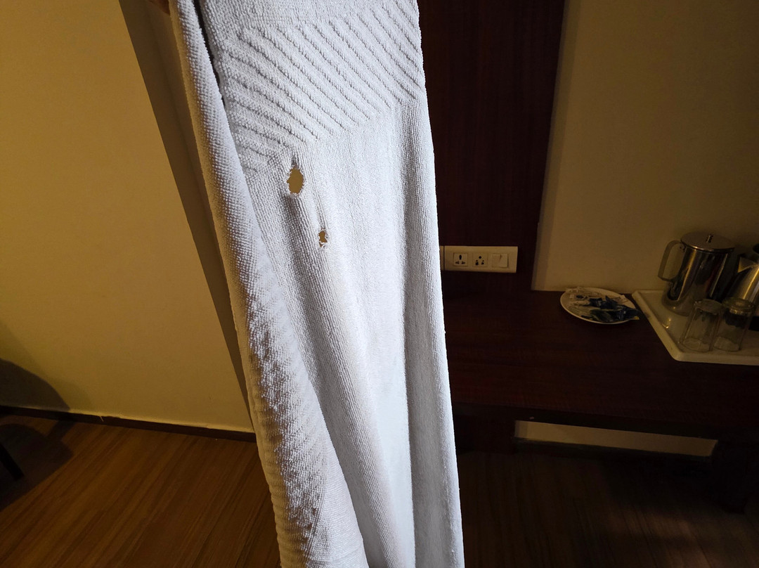 维殊瓦拉纳酒店主图