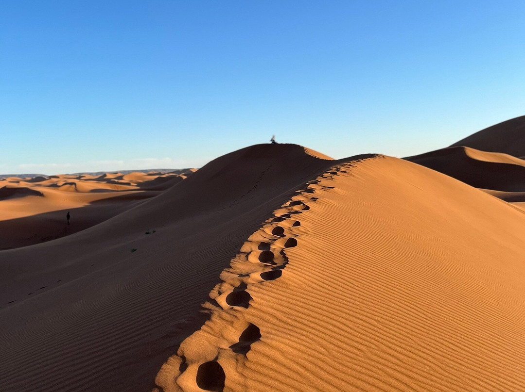 Wild Morocco-扎古拉必去景点