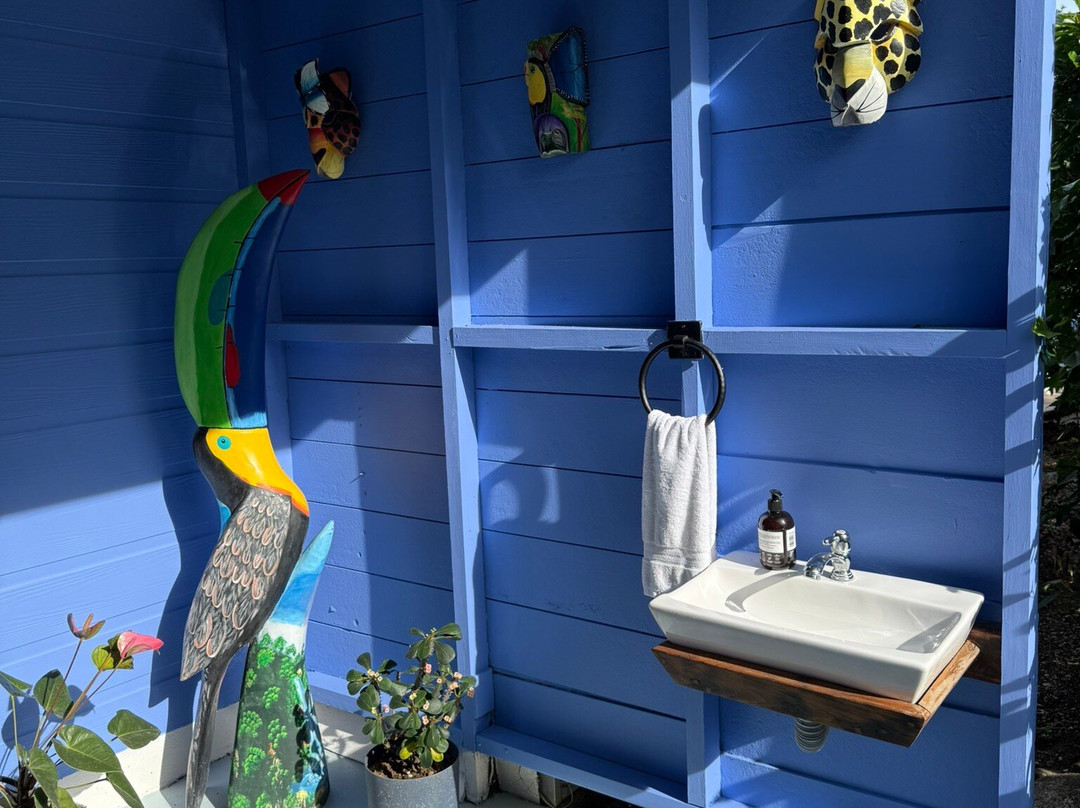 Sueño Rio Celeste Boutique B&B主图