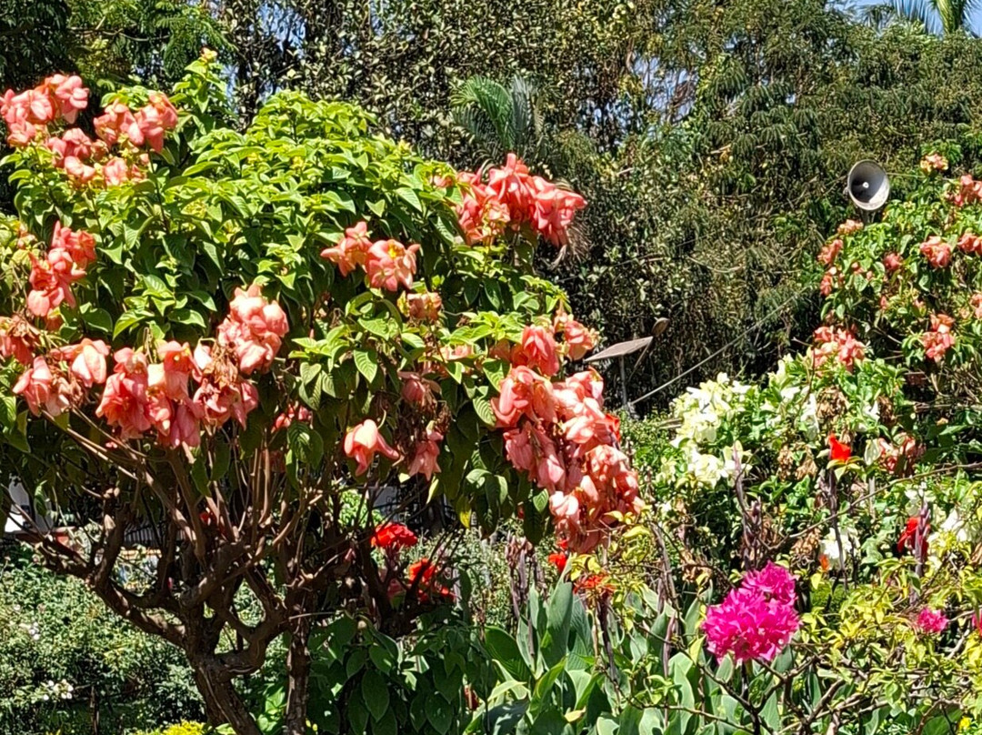 Margao Municipal Park-马尔加奥必去景点