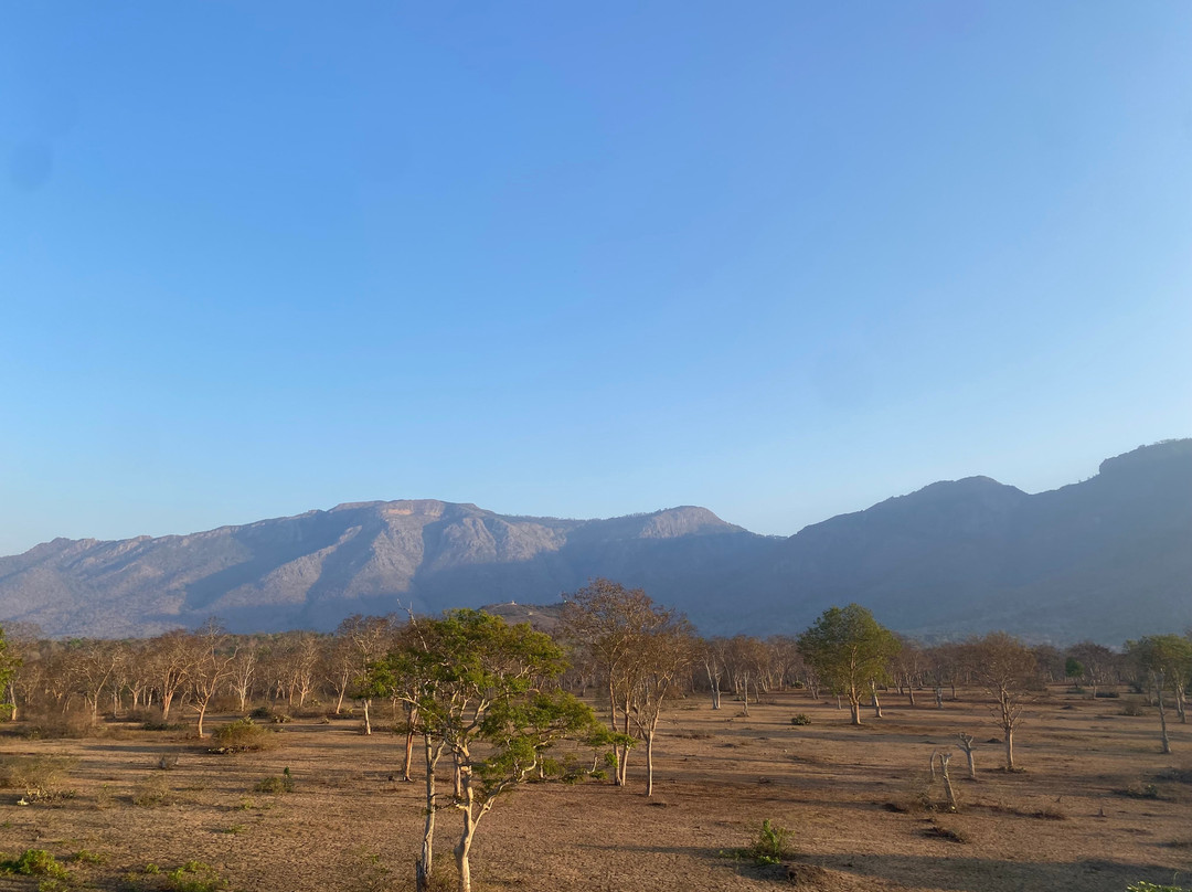 Avadale Masinagudi主图