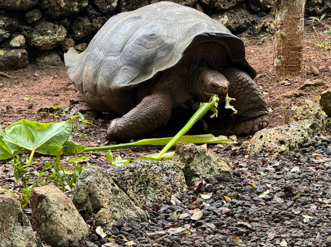 Ocean Whim-Puerto Baquerizo Moreno必去景点