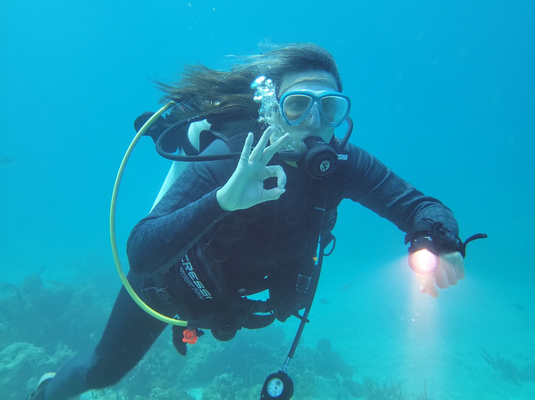 Cwori Dive Center-Smith Bay必去景点