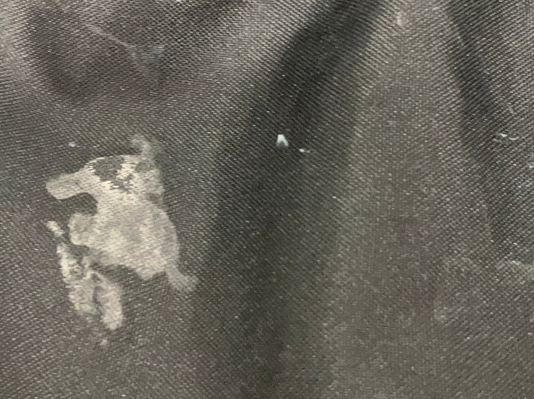 The Tremont House, a Tribute Portfolio Hotel主图