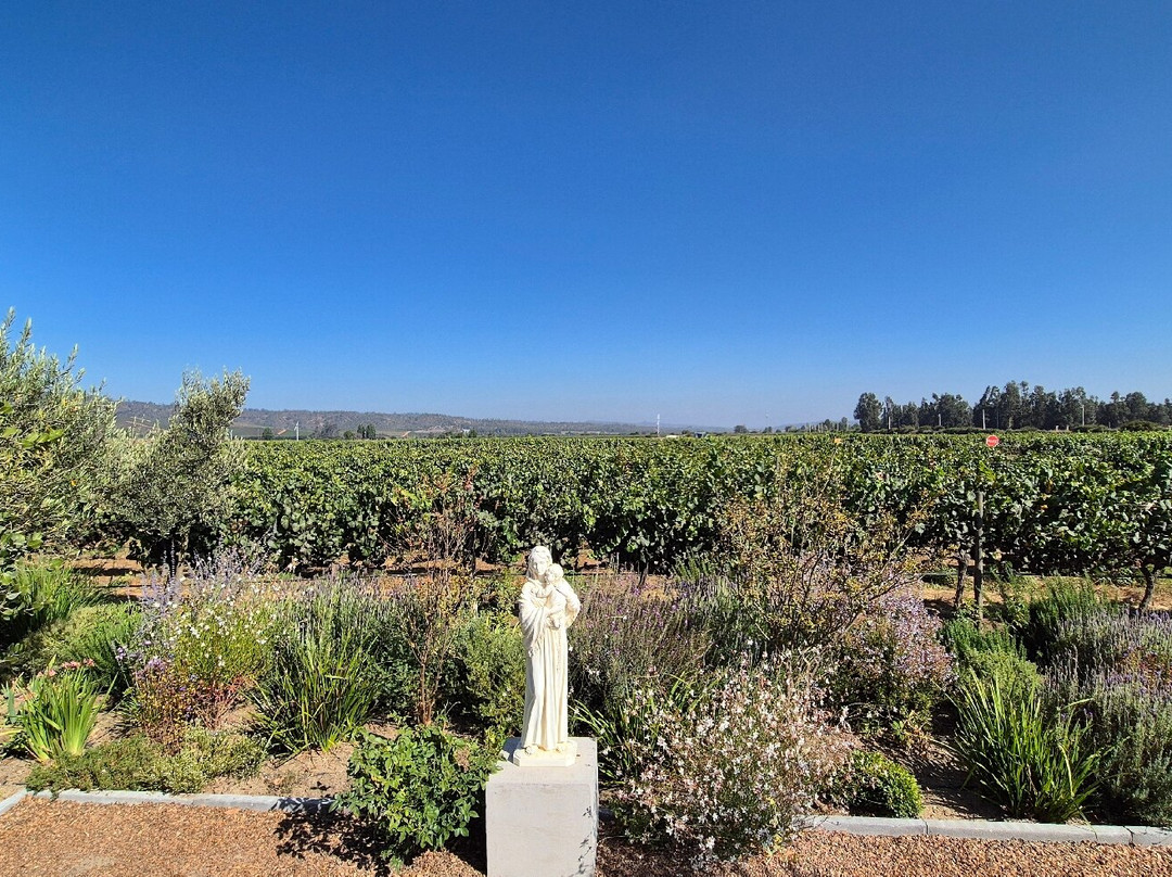 Casas del Bosque-卡萨布兰卡必去景点