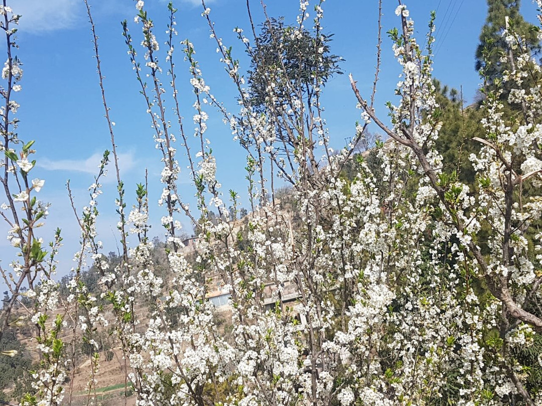 Digantaa Resort主图