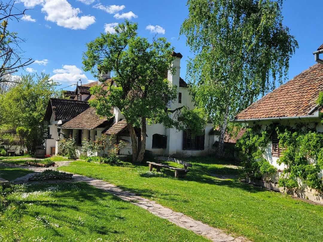 Count Kalnoky's Guesthouses主图