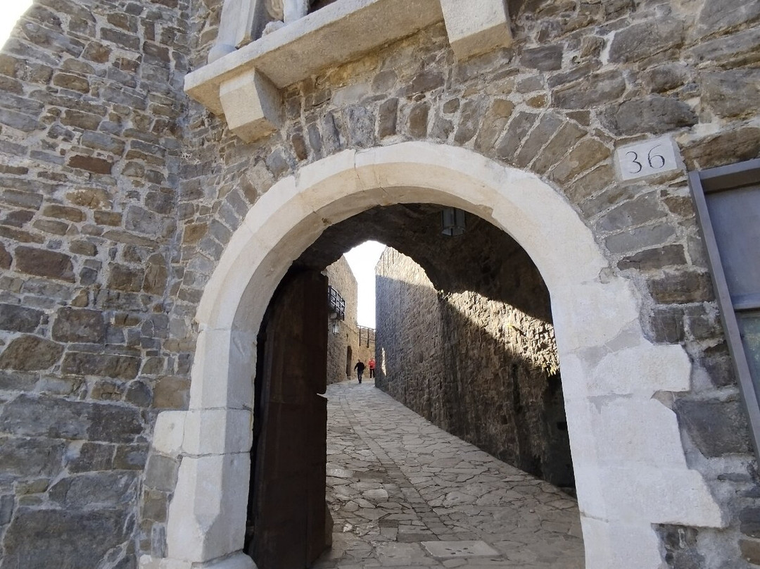 Castello di Gorizia景点图片