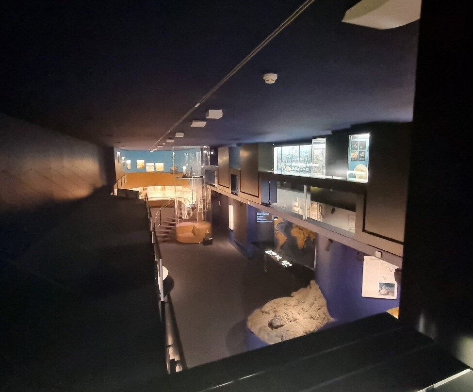 Naturhistorisches Museum Basel-巴塞尔必去景点
