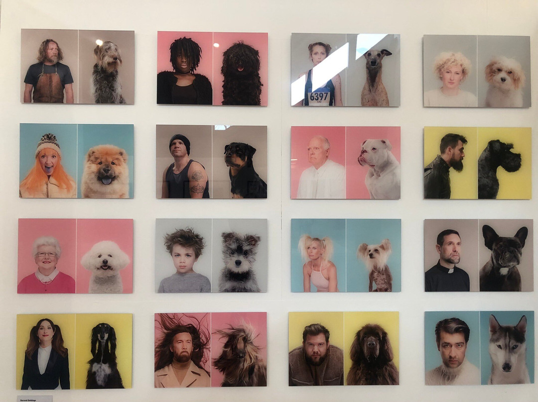 Kirkleatham Museum-Redcar必去景点