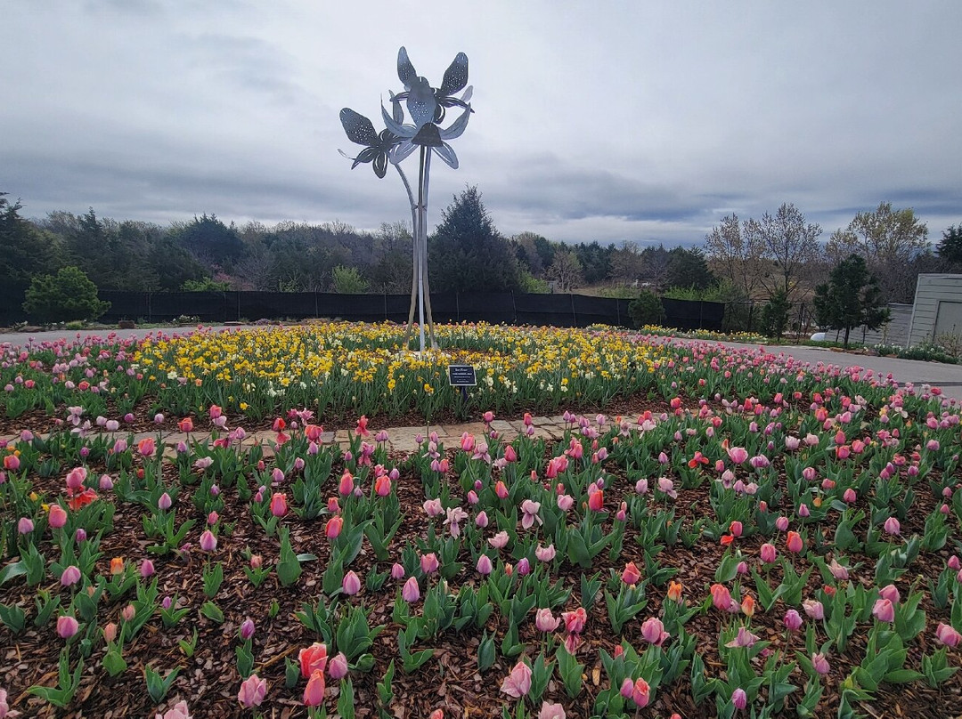 Tulsa Botanic Garden景点图片