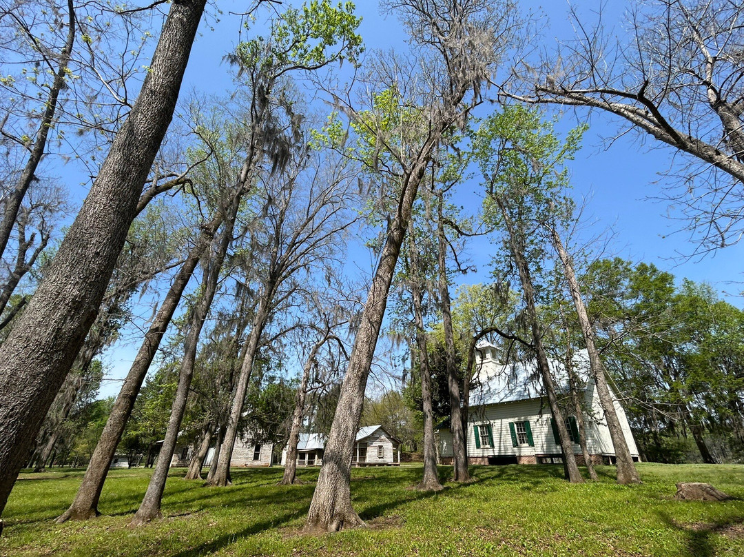 Jackson Lake Island景点图片