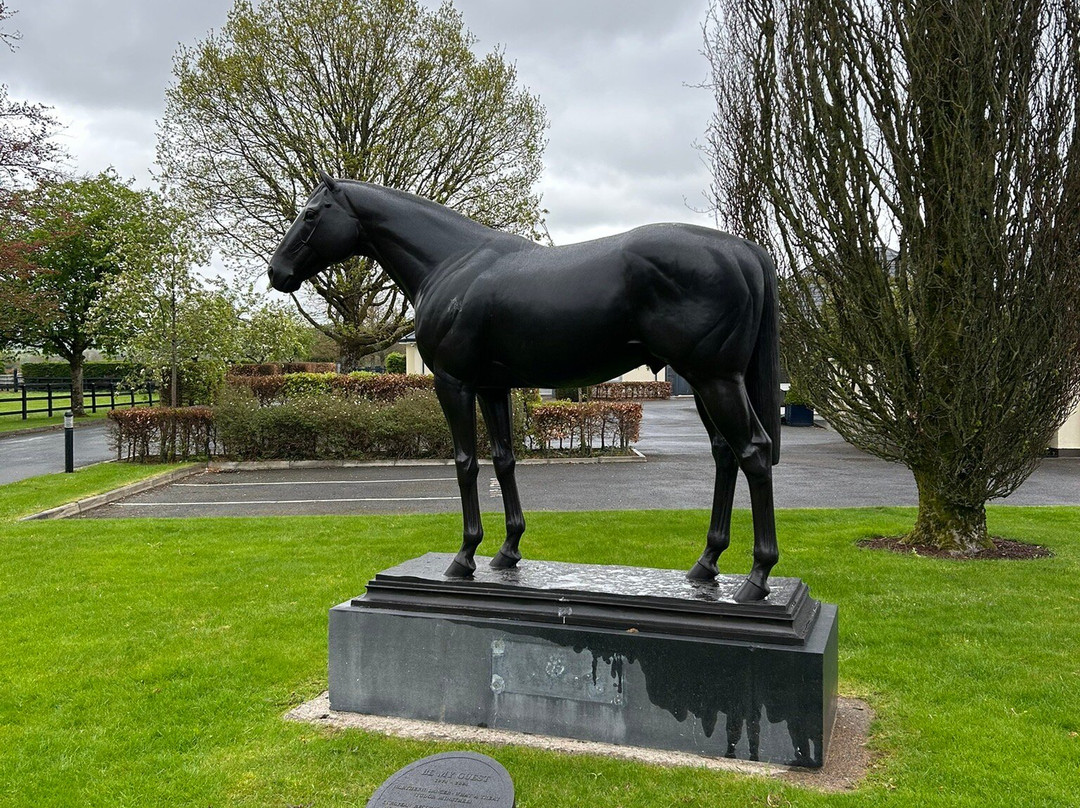 Fethard Horse Country Experience-Fethard必去景点