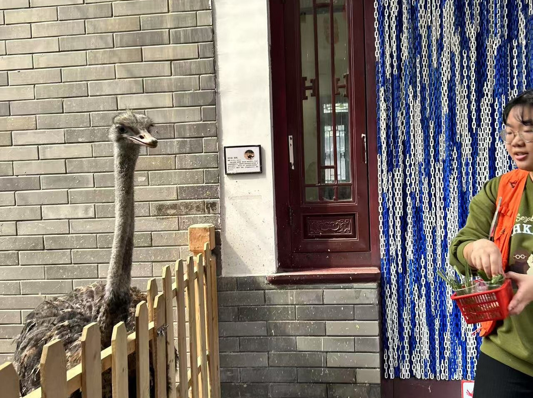 Haitan Ancient City Scenic Area-平潭县必去景点