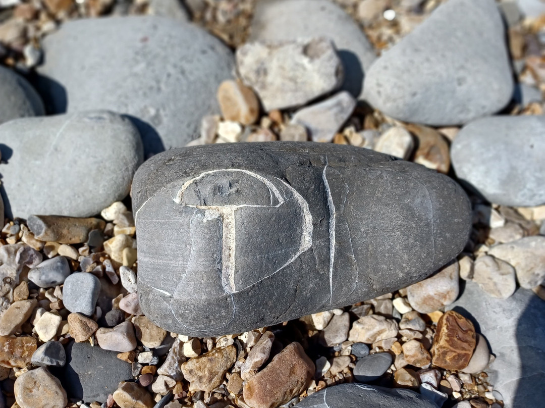 Charmouth Beach景点图片