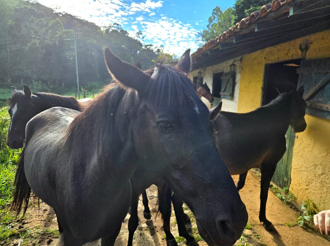 Spa Maria Bonita主图