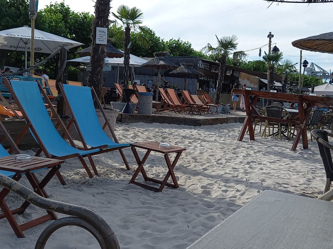 Strandbar443景点图片