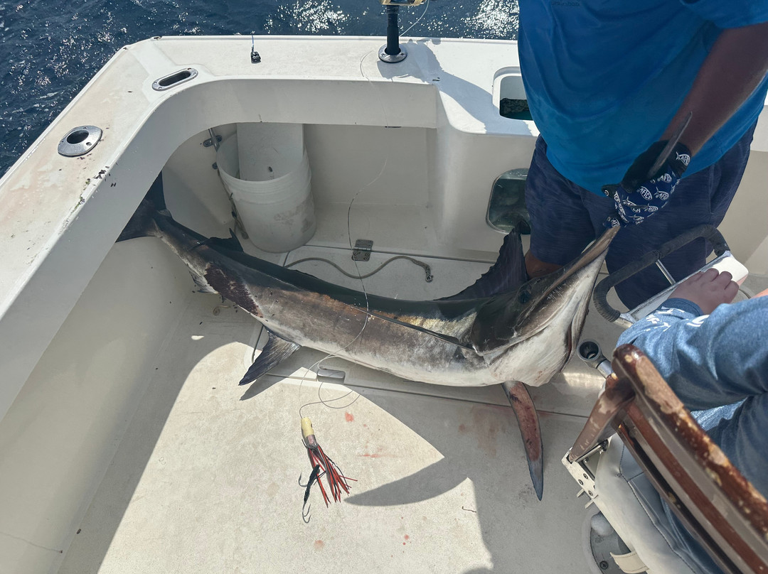 Blue Sky Cabo Fishing and Tours景点图片