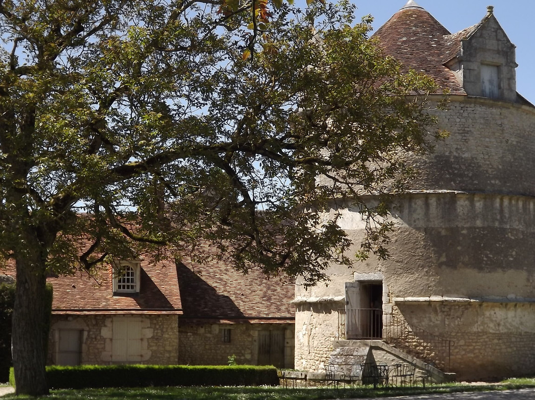 Chateau of Talcy景点图片