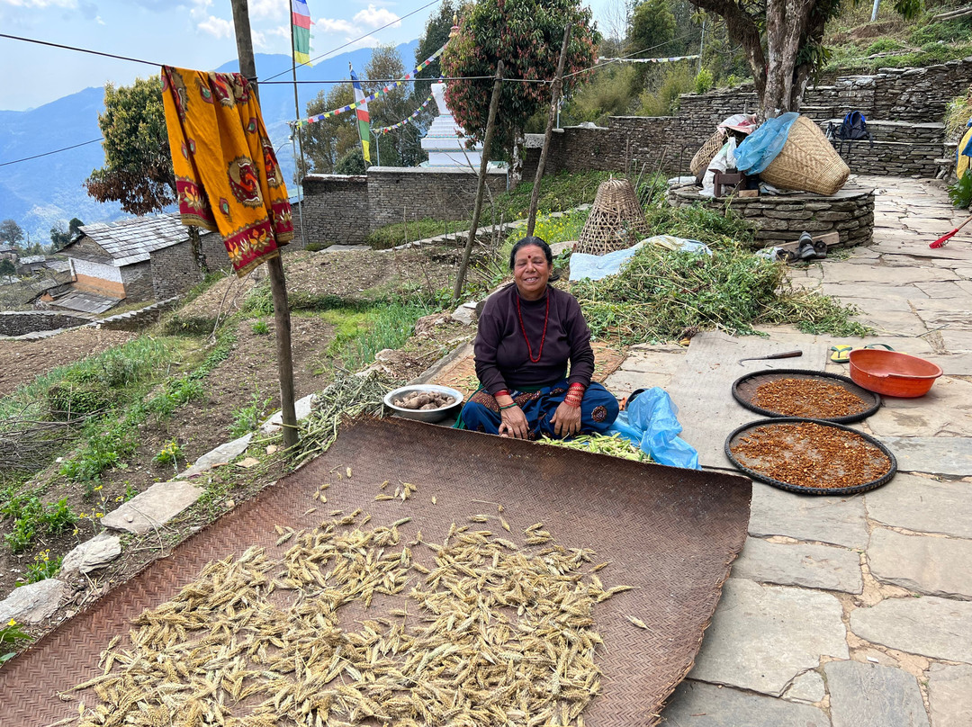 Tamagi Museum And Learning Centre-博卡拉必去景点