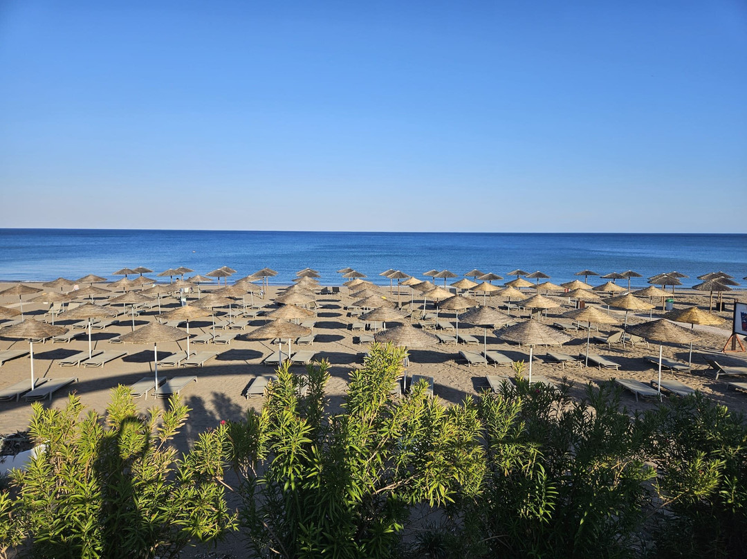 Calypso Beach Hotel主图