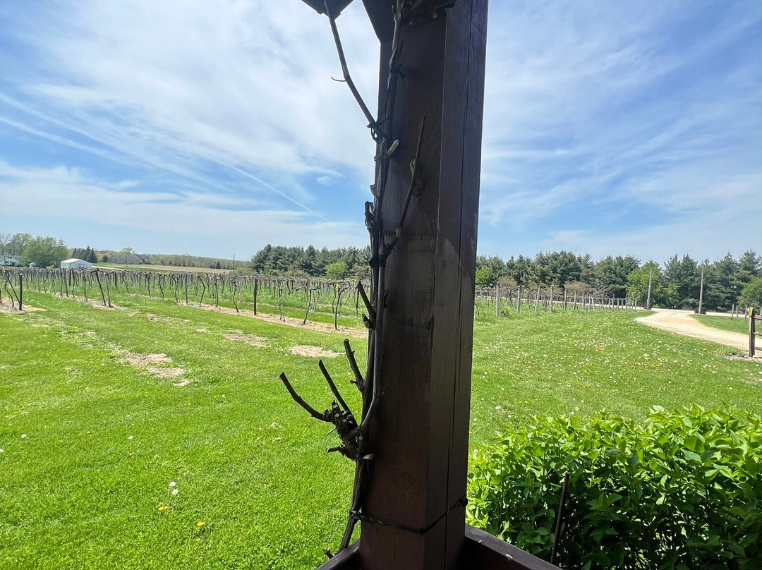 Massbach Ridge Winery-Elizabeth必去景点