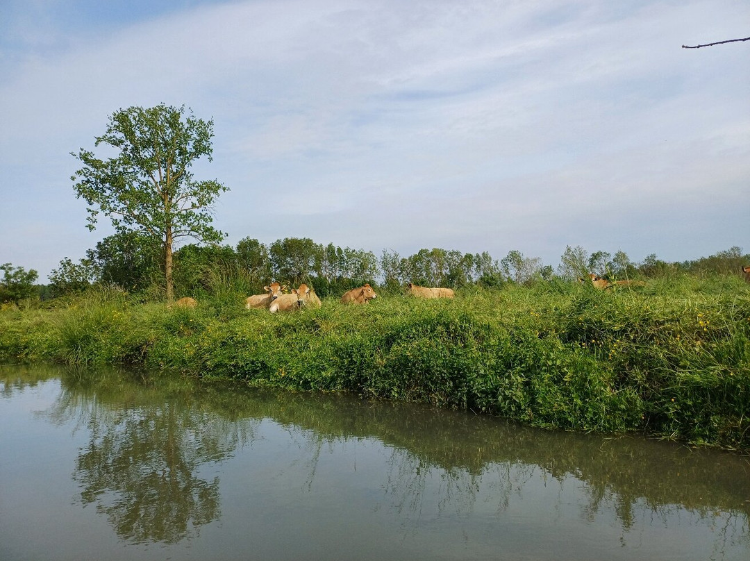 La Grenouille Bleue-Damvix必去景点