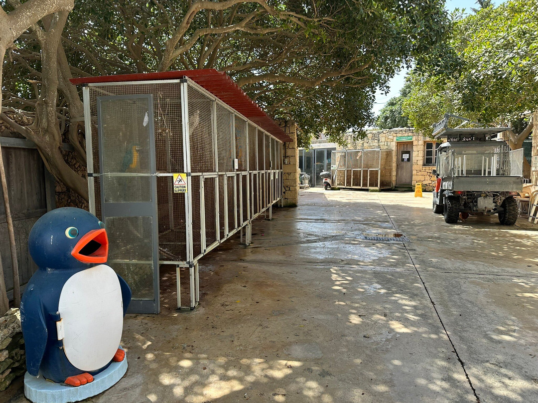 Birdpark Malta-Salina必去景点
