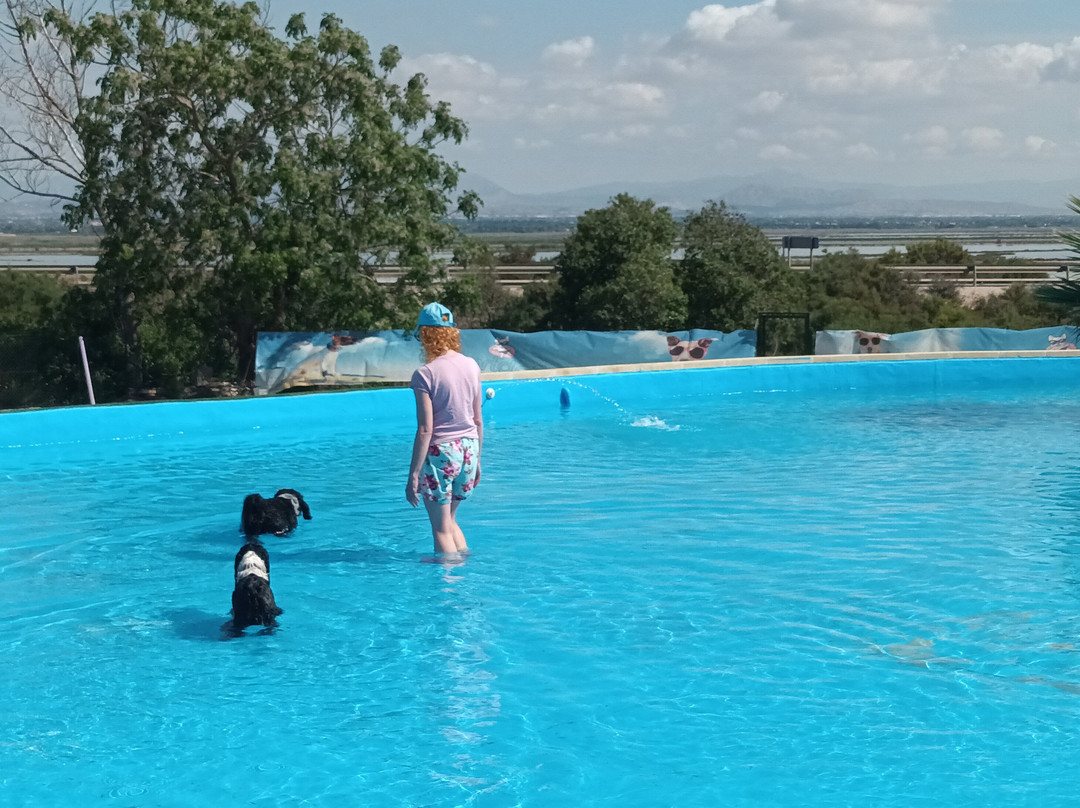 Worldog: Aquapark Canino-La Marina del Pinet必去景点